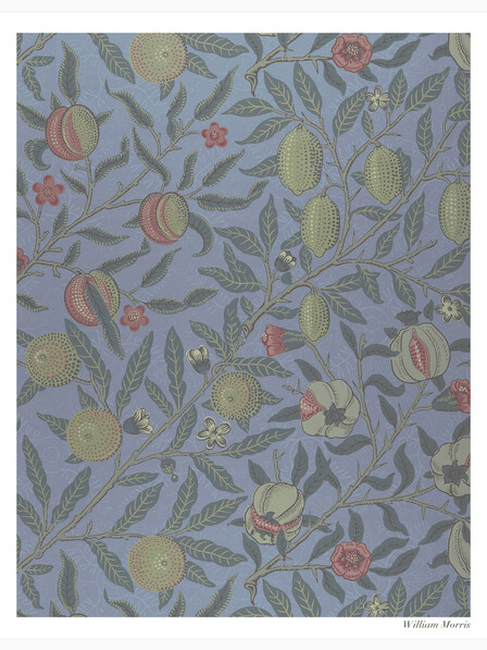 Fruit or Pomegranate - Poster