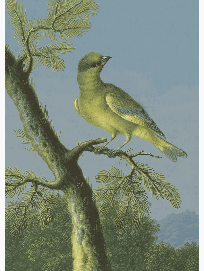 Groenling - Poster