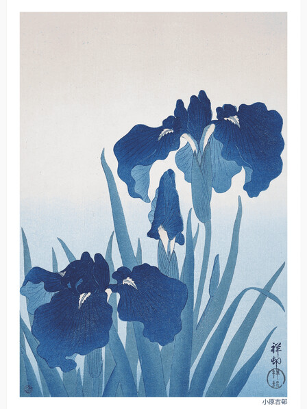 Irises - Poster