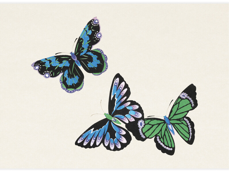 Japanese Butterfly No.5 - Poster