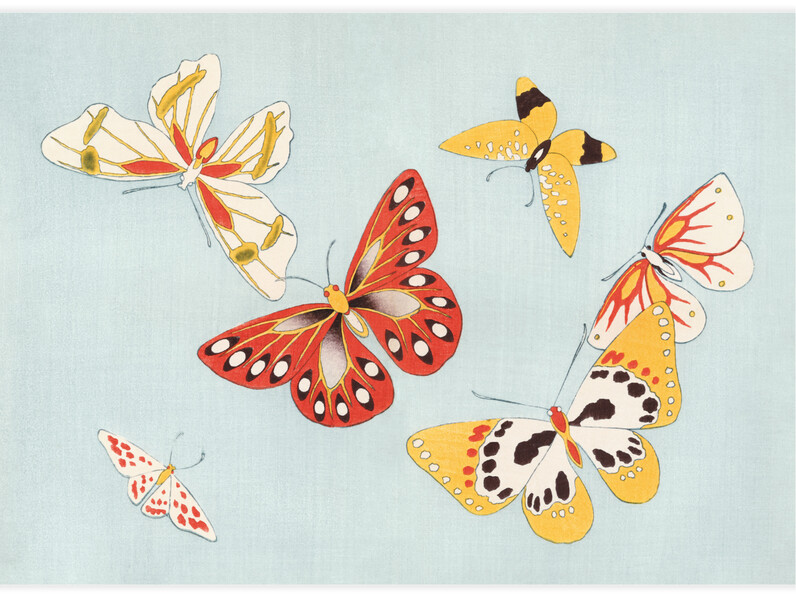 Japanese Butterfly No.7 - Poster