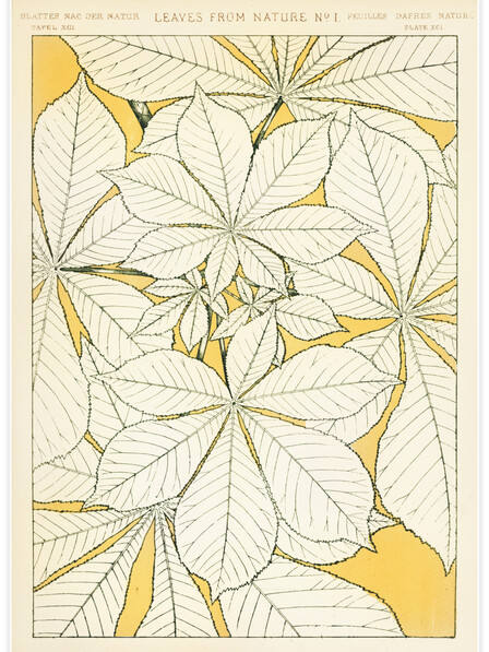 Leaves from Nature No.1 - Poster