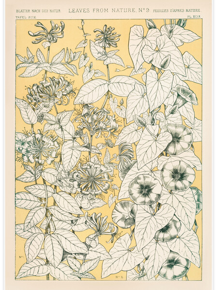 Leaves from Nature No.9 - Poster