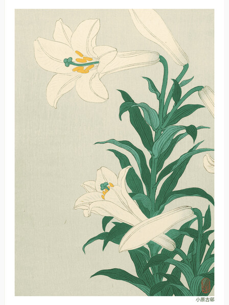 Lilies - Poster