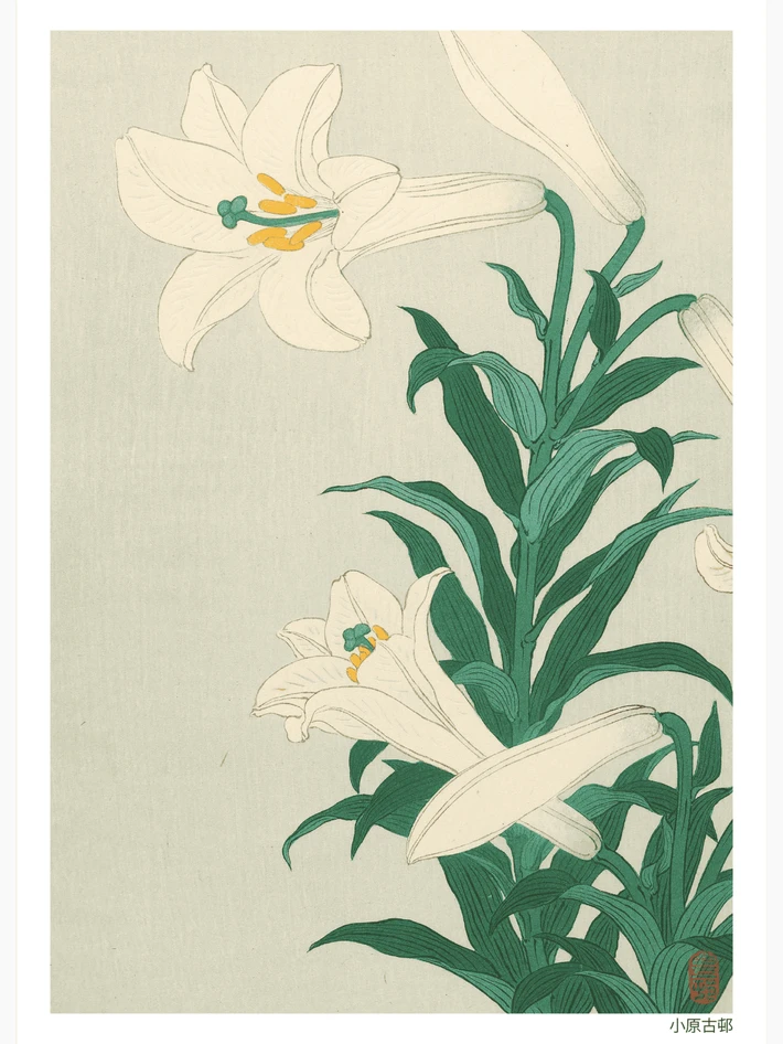 Lilies - Poster