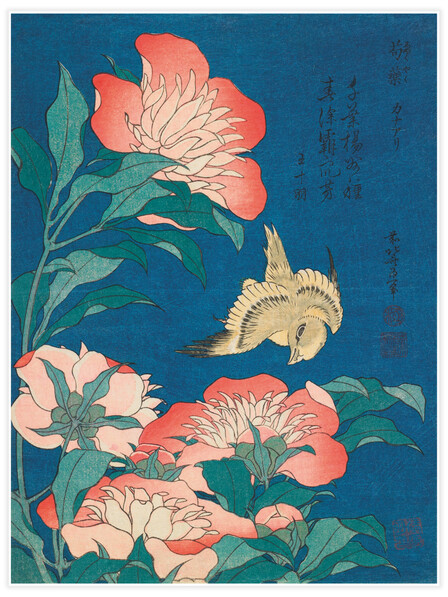 Peonies and Canary - Poster