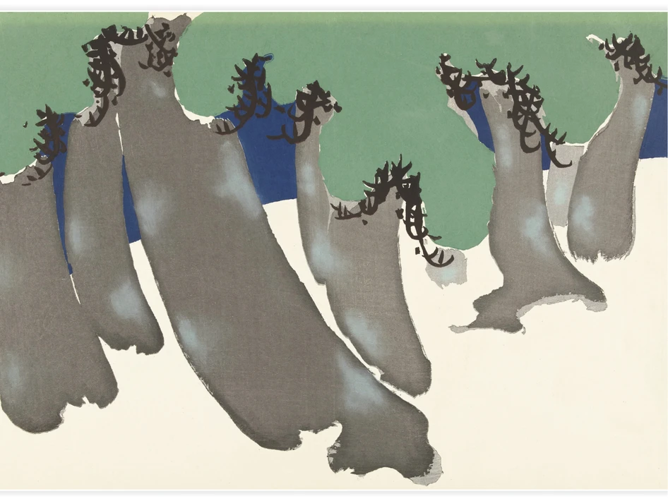 Pine trees - Poster
