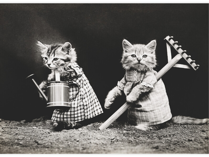 Planting time - Poster