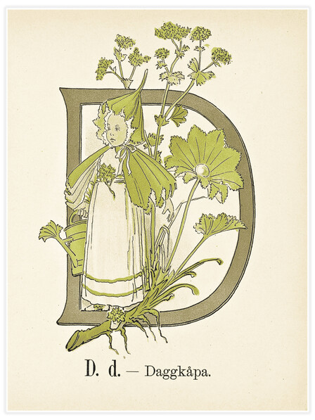 Prinsarnes blomsteralfabet - D - Poster