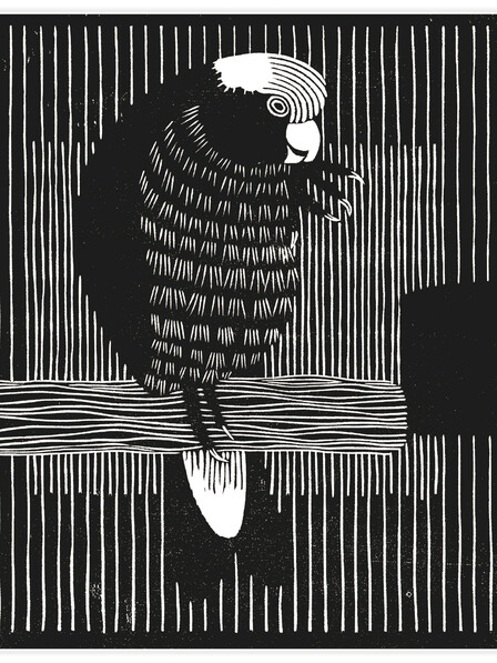 Rosekaketoe - Poster