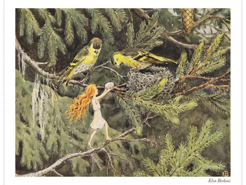 Älvan och småfåglarna i skogen - Poster