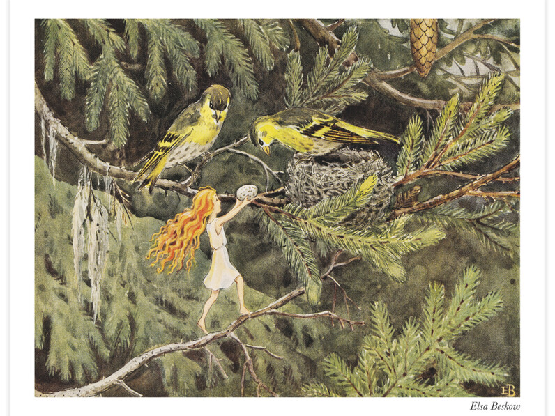 Älvan och småfåglarna i skogen - Poster