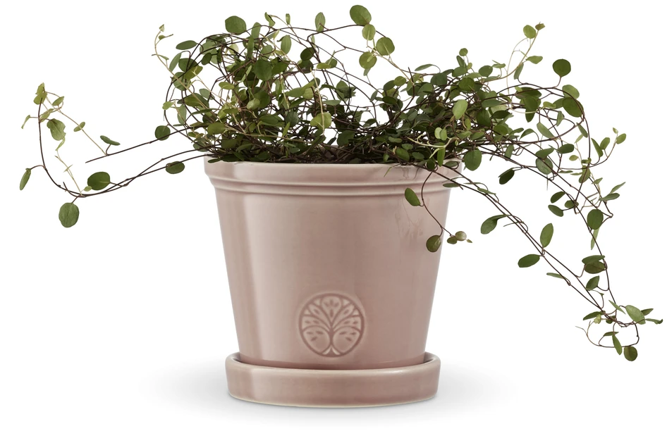 Saltsjö - Kruka, H 13 Ø 14 cm - Rosa