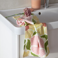 Vega - Gästhandduk, 2-pack, 30x50 cm - inspiration