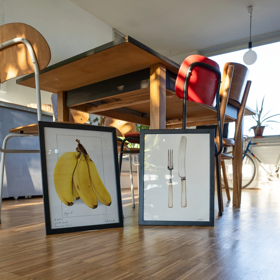 Bananas (Musa) - Poster