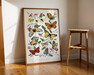 Butterfly and moth painting - Poster