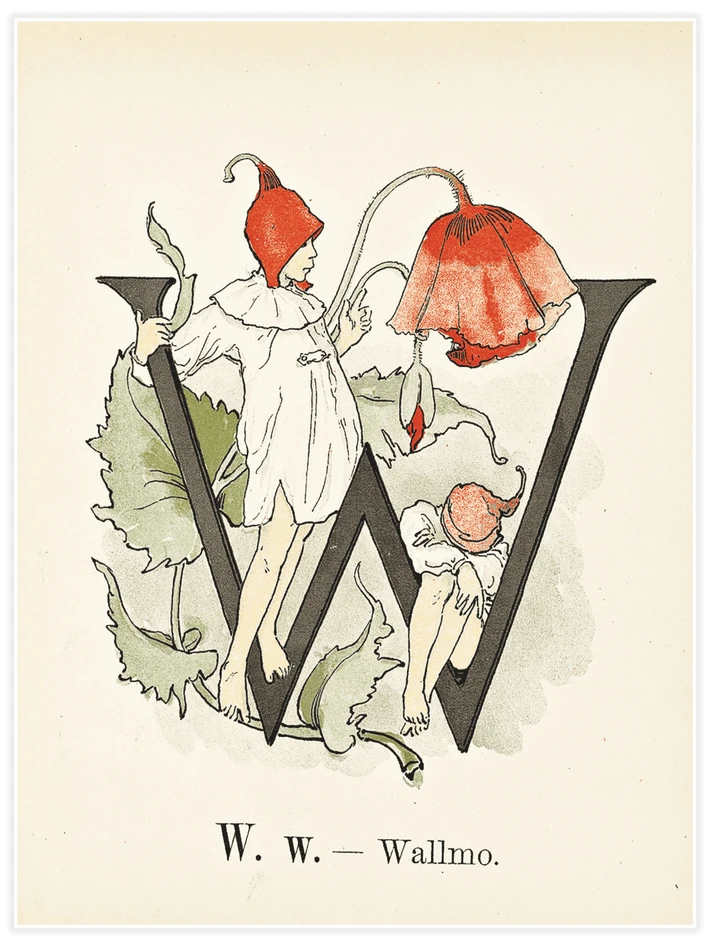 Prinsarnes blomsteralfabet - W - Poster