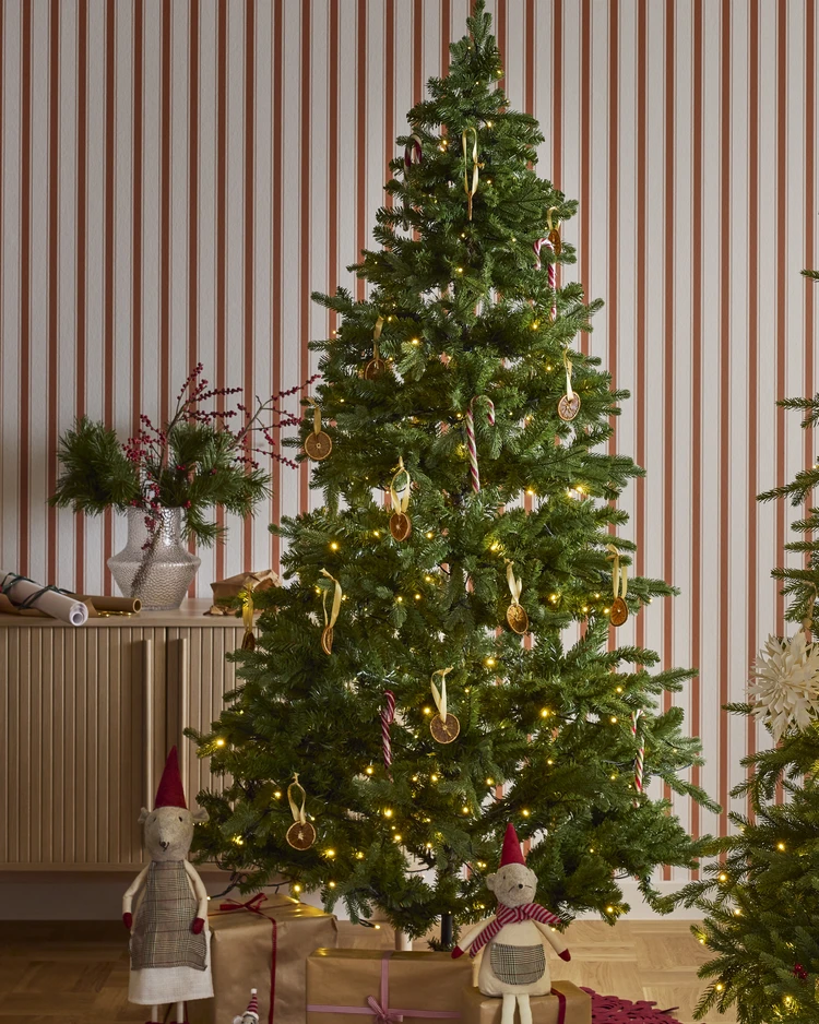 Åre - Julgran, LED, H 210 cm - inspiration
