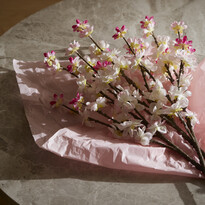 Körsbärskvist - Konstväxt, H 61 cm - inspiration