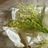 Mimosa - Konstväxt, H59 cm - inspiration