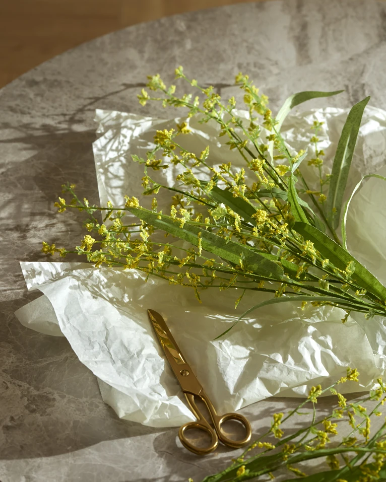 Mimosa, Konstväxt, H59 cm