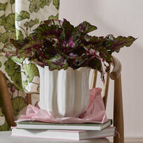 Erna - Kruka, H 20 Ø 19,5 cm - inspiration