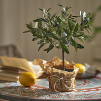 Olivträd - Konstväxt i kruka, H 40 Ø 30 - inspiration