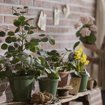 Saltsjö - Kruka, H 19 Ø 20,5 cm - inspiration