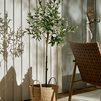 Oliv - Konstväxt i kruka, H 150 Ø 70 cm - inspiration