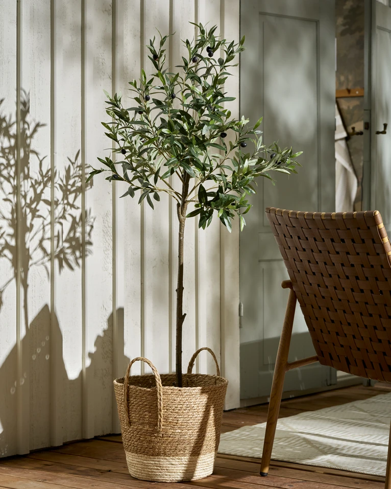Oliv, Konstväxt i kruka, H 150 Ø 70 cm