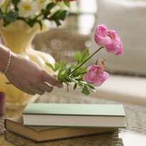 Ranunkel - Konstväxt, H 52 cm - inspiration