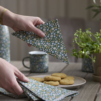 Molly - Servett, 33x33 cm, 20-pack - inspiration