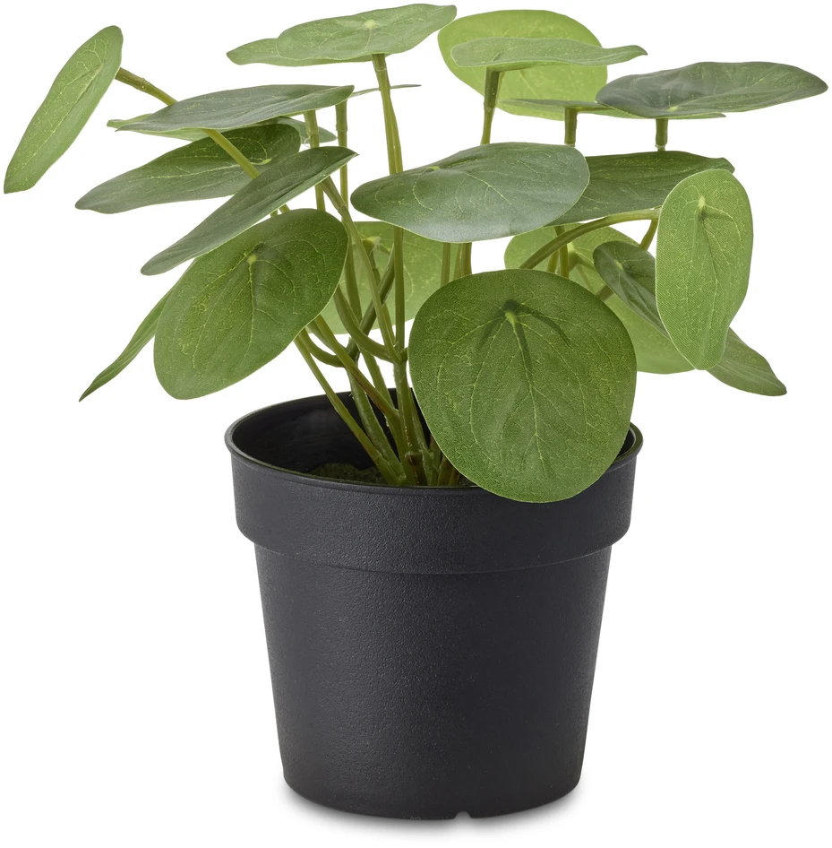 Elefantöra - Konstväxt i kruka, H18 Ø19 cm - Grön