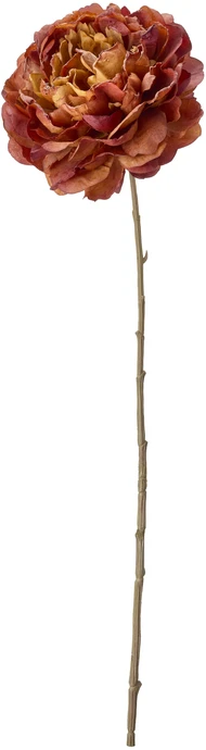 Pion, Konstväxt, H60 cm