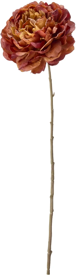 Pion - Konstväxt, H60 cm - Brun