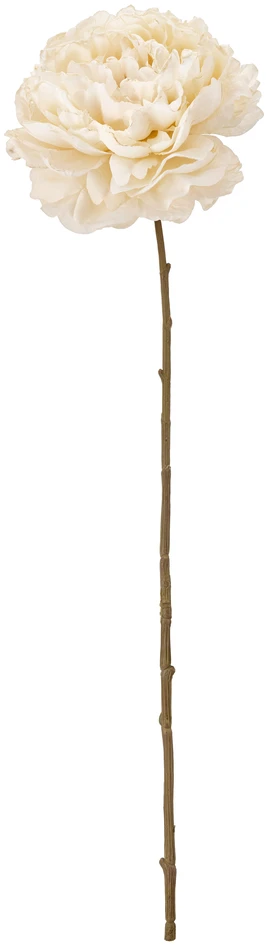 Pion - Konstväxt, H60 cm - Vit