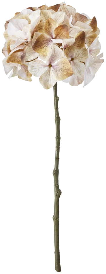 Hortensia - Konstväxt, H47 cm - Beige