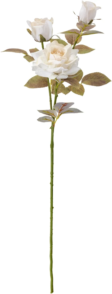 Ros - Konstväxt, H70 cm - Vit
