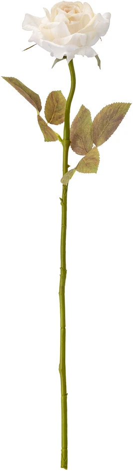Ros - Konstväxt, H58 cm - Vit