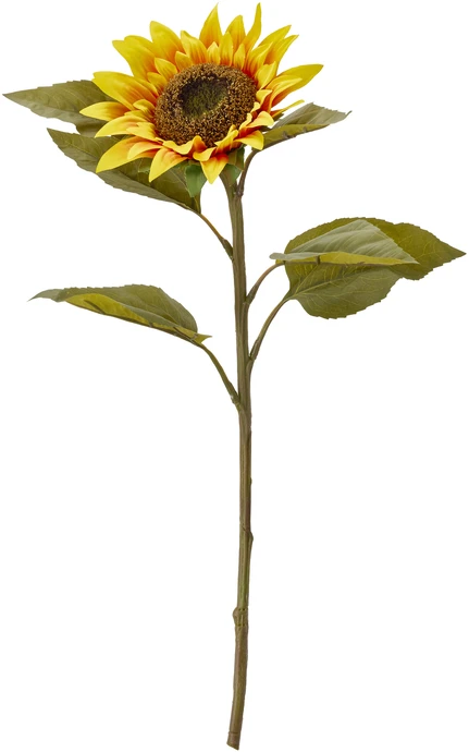 Solros, Konstväxt, H60 cm
