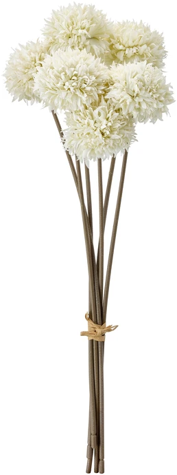 Bollblomma, Konstväxt, H44 cm, 6-pack