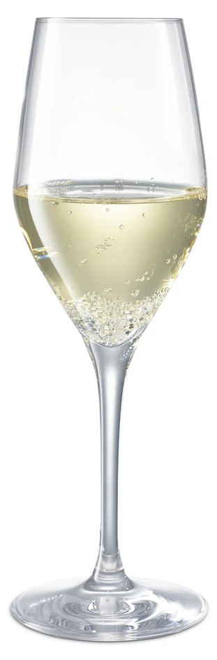 Sense - Champagneglas, H 21 Ø 7,2 cm, 25,5 cl, 6-pack - Vit