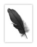 Postcard - Poster, 15x20 cm, 4-pack - Svart