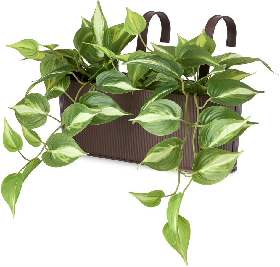 Gullranka - Konstväxt i kruka, H 48 Ø 30 cm - Grön