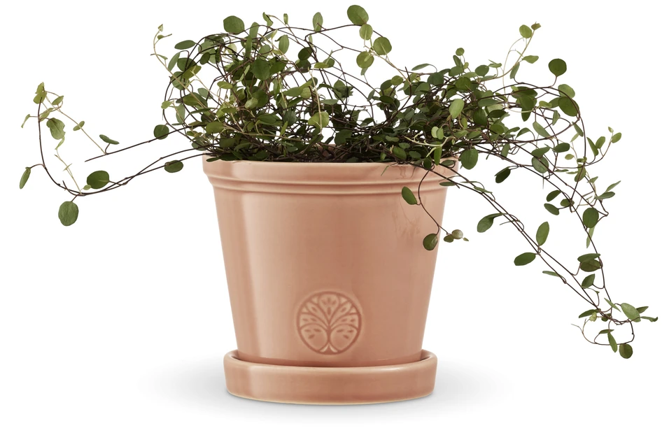 Saltsjö - Kruka, H 13 Ø 14 cm - Rosa