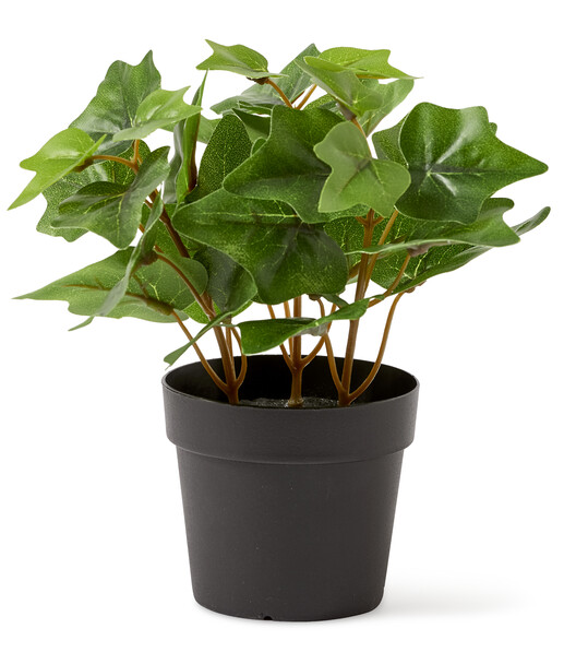 Murgröna - Konstväxt i kruka, H 20 cm - Grön