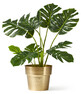 Monstera - Konstväxt i kruka, H 85 cm - Grön