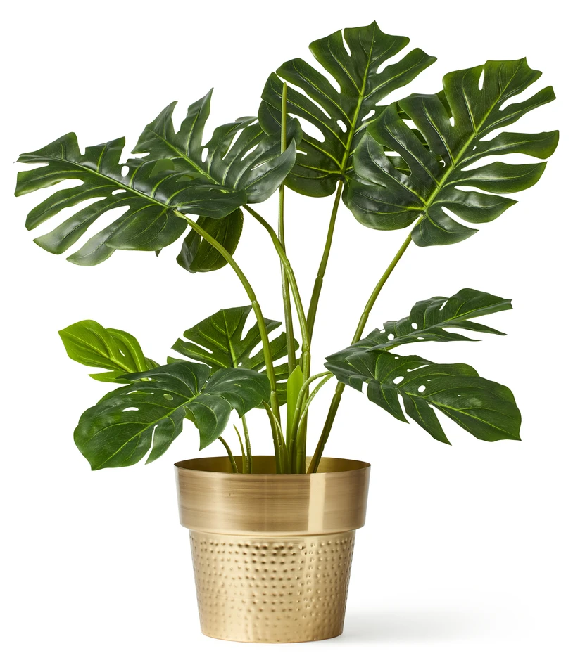 Monstera - Konstväxt i kruka, H 85 cm - Grön