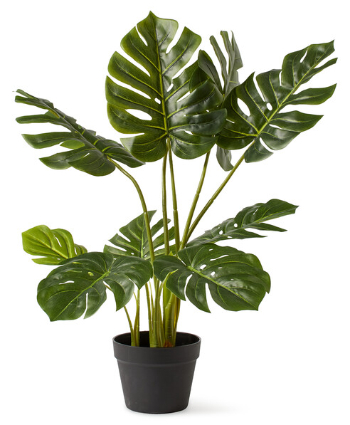 Monstera - Konstväxt i kruka, H 85 cm - Grön