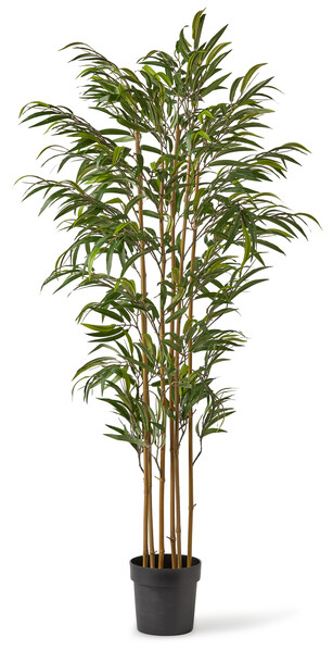 Bambu - Konstväxt i kruka, H 170 cm - Grön